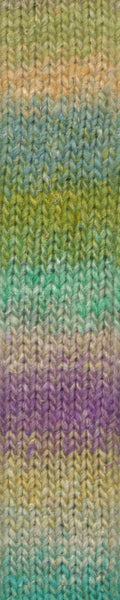Noro Silk Garden Sock Yarn