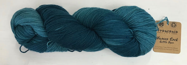 Araucania Huasco Sock Kettle Dye