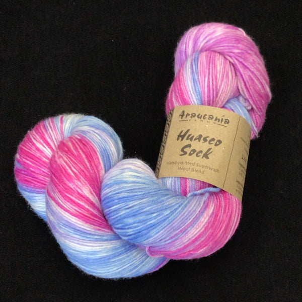 Araucania Huasco Sock Hand Painted
