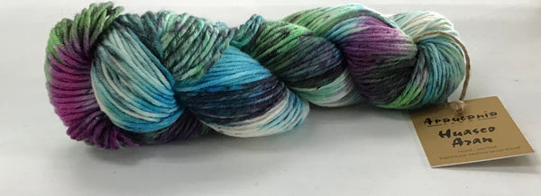 Araucania Huasco Aran