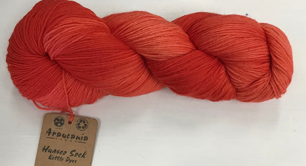 Araucania Huasco Sock Kettle Dye