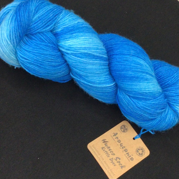 Araucania Huasco Sock Kettle Dye