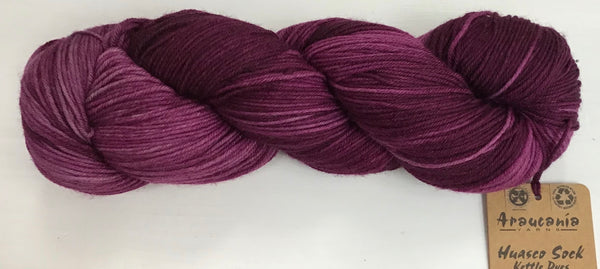 Araucania Huasco Sock Kettle Dye