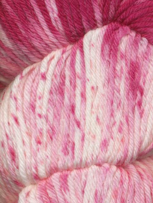 Araucania Huasco Color