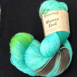 Araucania Huasco Sock Hand Painted
