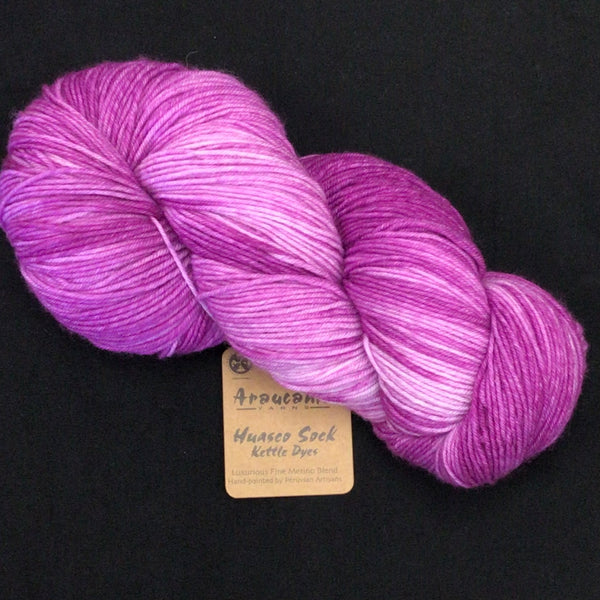 Araucania Huasco Sock Kettle Dye