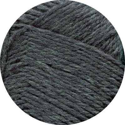 Brown Sheep Lamb's Pride Superwash Worsted